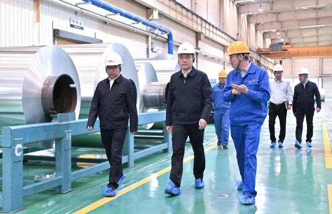 新安縣委書(shū)記王智到萬(wàn)基控股集團調研