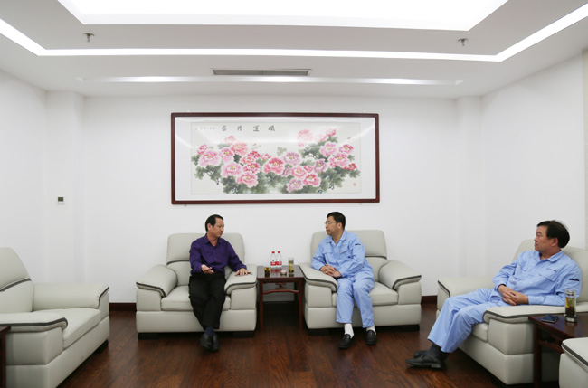 縣委書(shū)記王玉峰到我公司調研