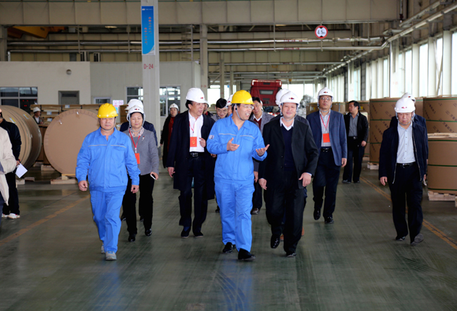 駐洛陽(yáng)市省、市人大代表到萬(wàn)基控股集團參觀(guān)